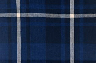 地毯纺织背景针织布料布纹布艺图案图片素材大全 灵感与应用的宝库